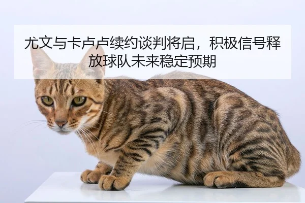 尤文与卡卢卢续约谈判将启，积极信号释放球队未来稳定预期 | MKSPORTS
